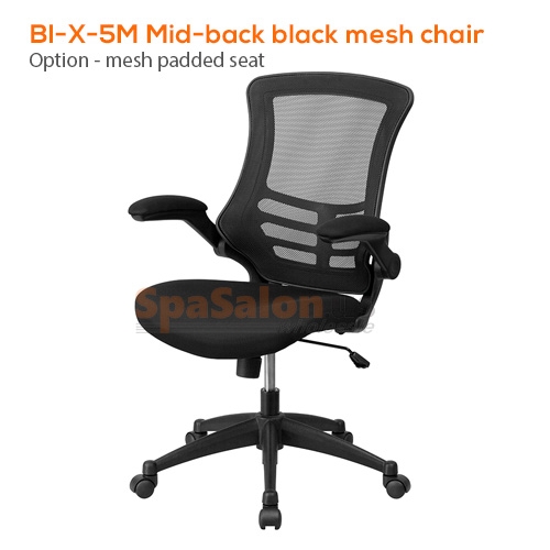Bl-X-5M Mid-back black mesh chair